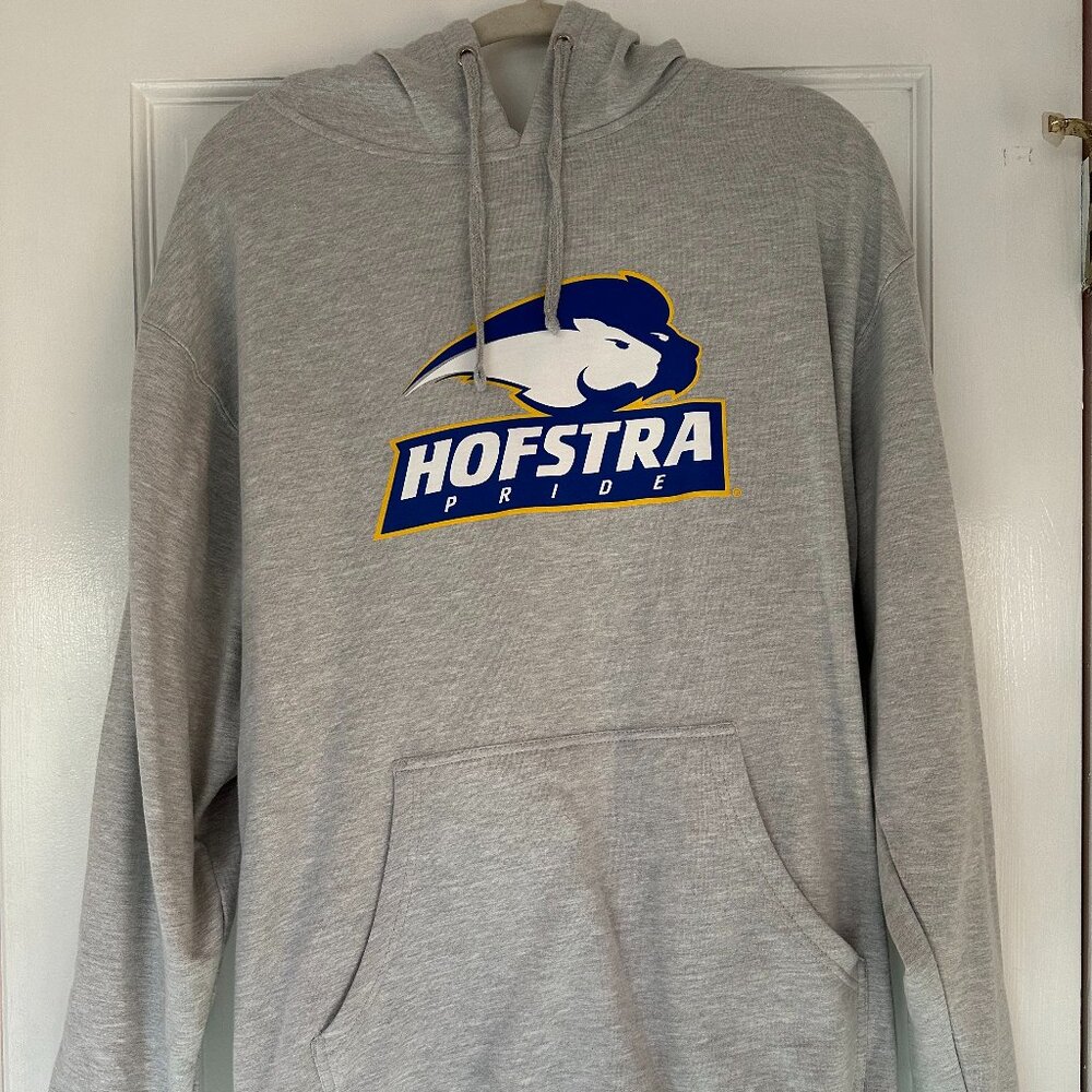 Hofstra grey sweatshirt
